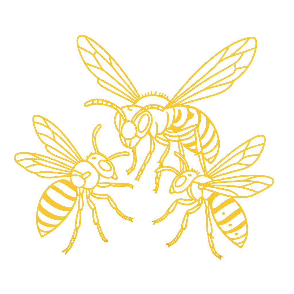 Darázs társas viselkedés